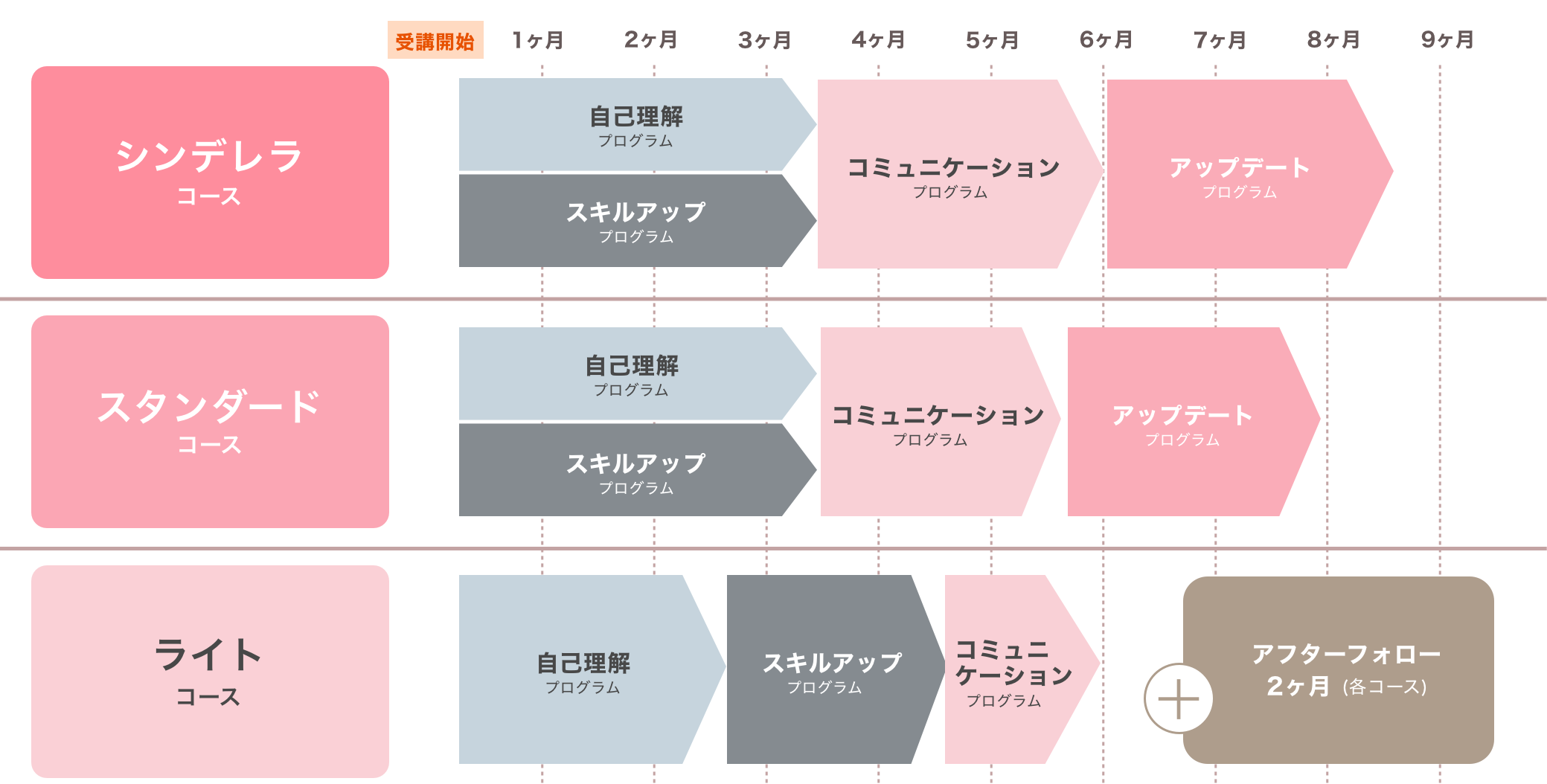 スケジュール